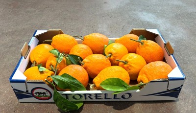 Foto Arance Tarocco Affogliate Calibro 2 Origine Italia Marchio Torello 1